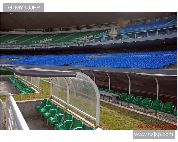 足球场球星风采展现大赏精彩挂画图片欣赏与回顾 足球场球星风采展现大赏精彩挂画图片欣赏与回顾